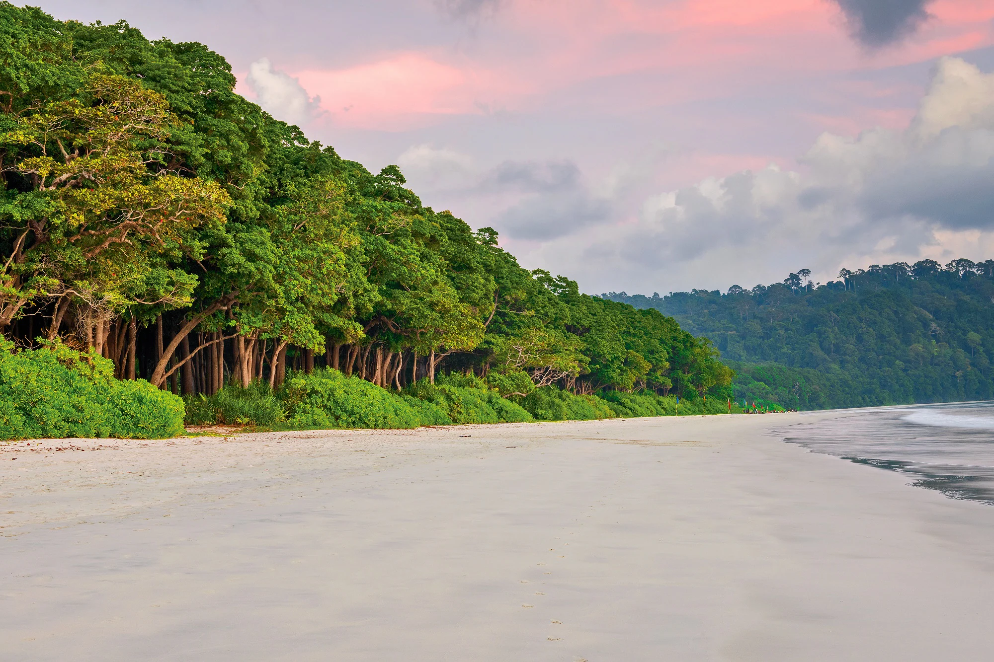 Exotic Andaman